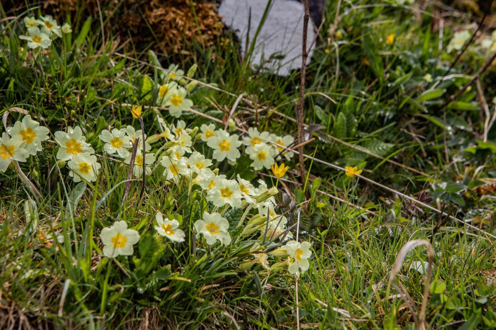 Edinbane Self Catering - On The Croft At Edinbane别墅 外观 照片
