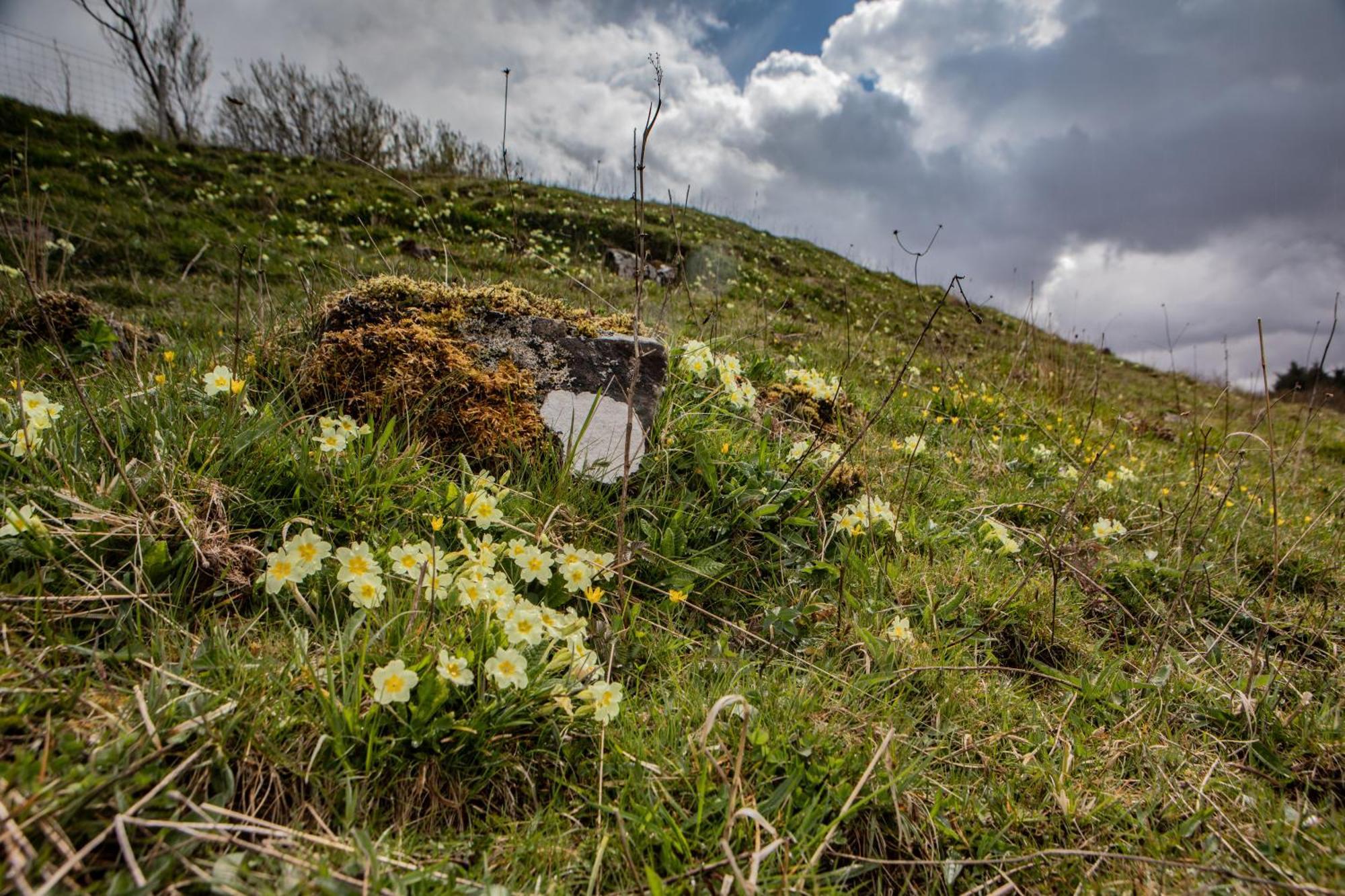 Edinbane Self Catering - On The Croft At Edinbane别墅 外观 照片